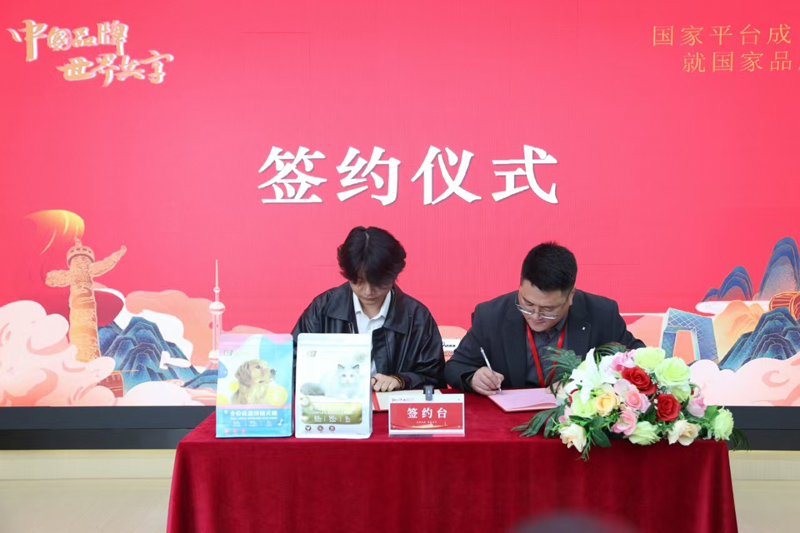 泰安市贝思特商贸有限公司：引领未来市场新风尚