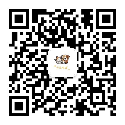公众号